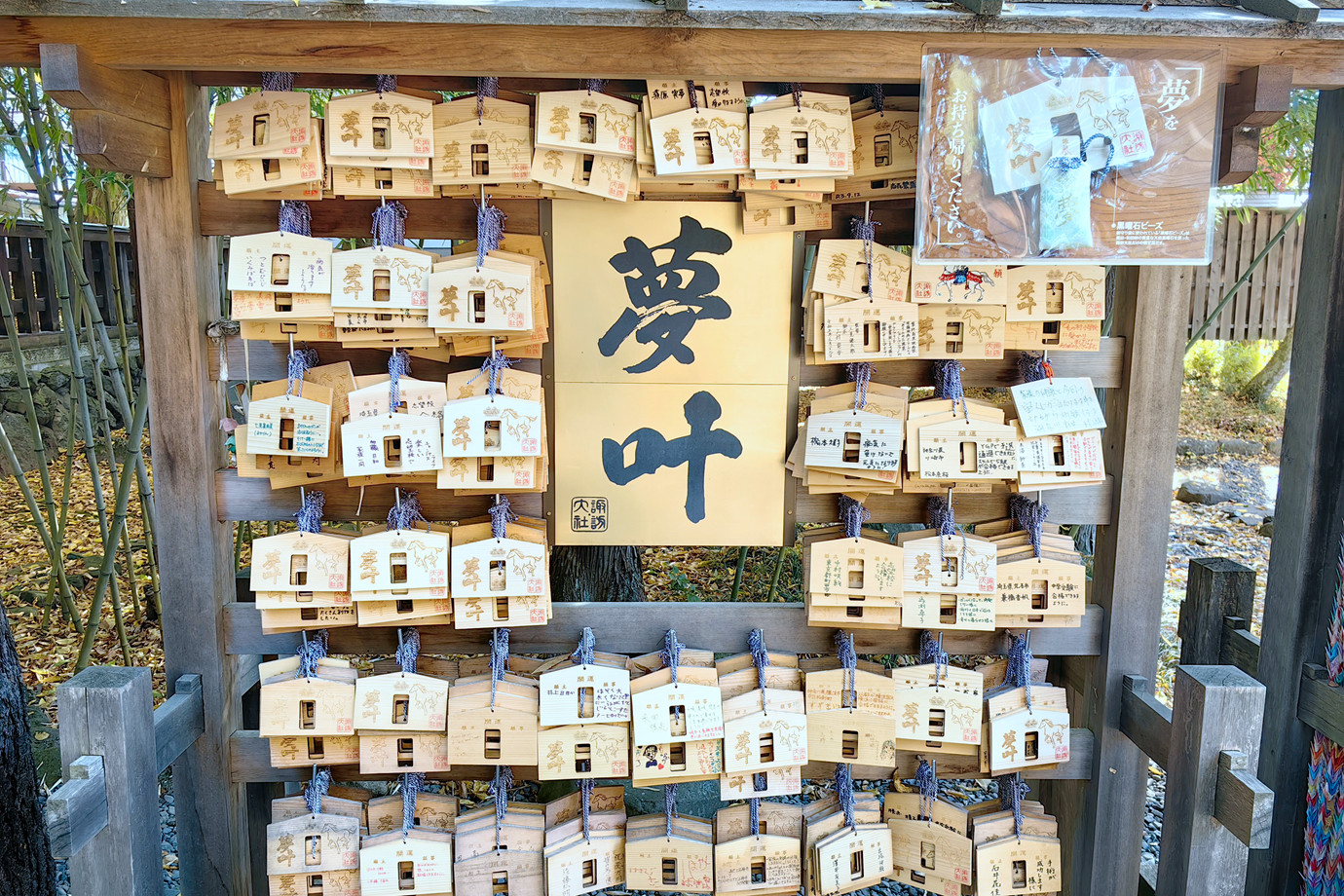 長野-信濃國一之宮.諏訪大社.下社秋宮